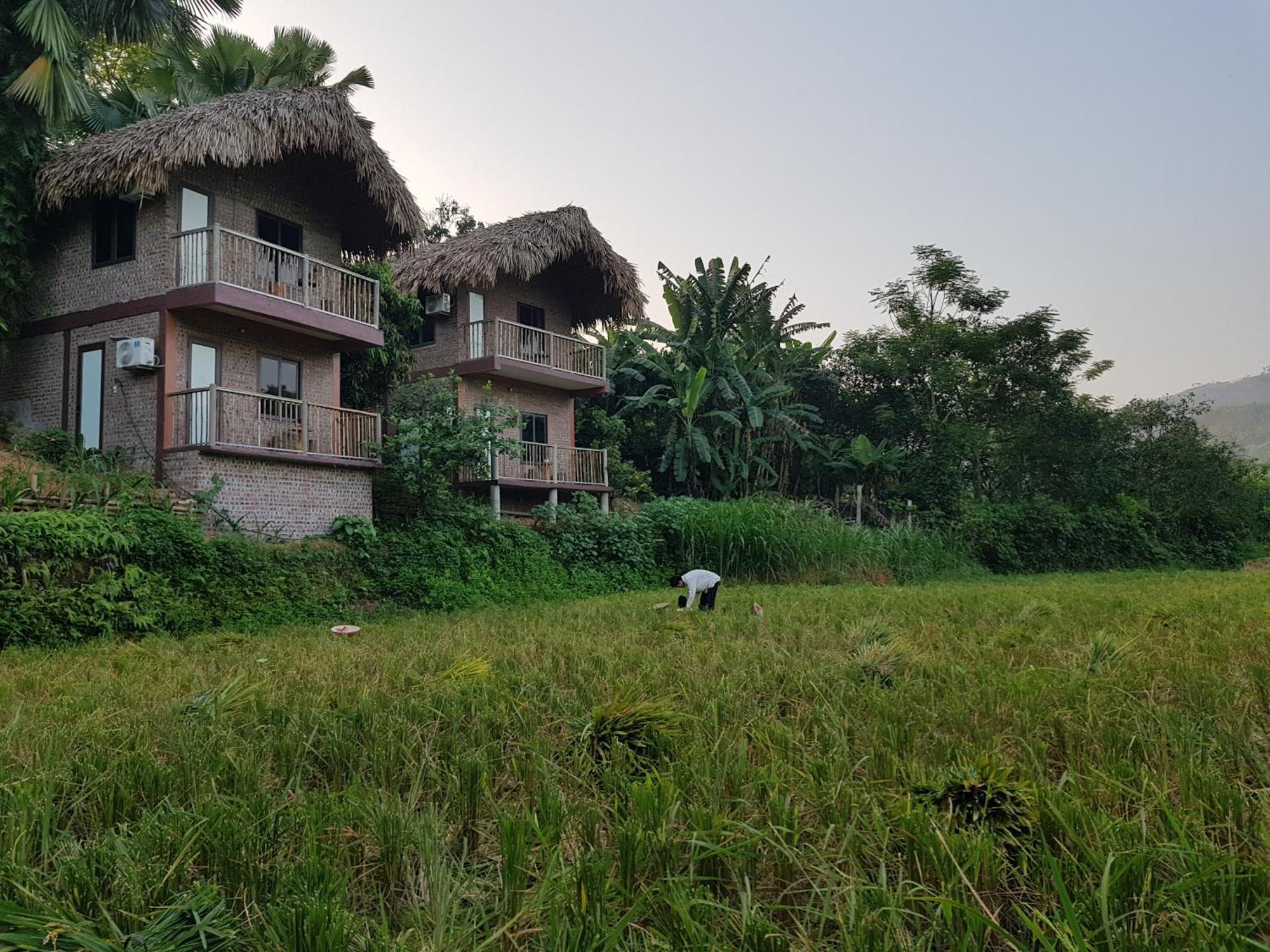 Vu Linh Palm House Homestay - Bungalow Yen Bai Екстер'єр фото